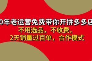 （11853期）拼多多 最新合作开店日收4000+两天销量过百单，无学费、老运营代操作、…