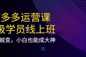 （3929期）拼多多运营课：超级学员线上班，21天蜕变，小白也能成大神