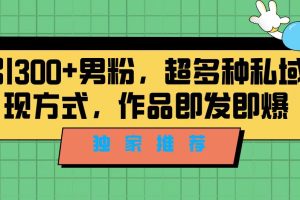 （7048期）独家推荐！日引300+男粉，超多种私域变现方式，作品即发即报