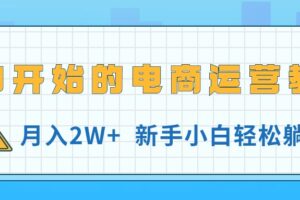 （11081期）从0开始的电商运营教学，月入2W+，新手小白轻松躺赚