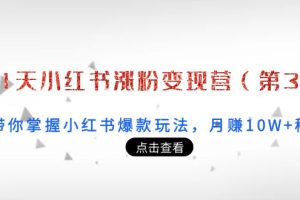 （3795期）21天小红书涨粉变现营（第3期）：带你掌握小红书爆款玩法，月赚10W+秘密