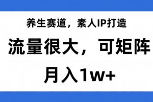 #原创                                                                                                 养生赛道，素人IP打造，流量很大，可矩阵，月入1w+【揭秘】