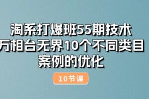 （10996期）淘系打爆班55期技术：万相台无界10个不同类目案例的优化（10节）