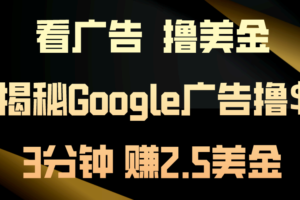 （10912期）看广告，撸美金！3分钟赚2.5美金！日入200美金不是梦！揭秘Google广告…