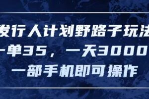 （11750期）发行人计划野路子玩法，一单35，一天3000+，一部手机即可操作