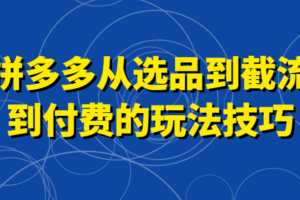 拼多多从选品到截流到付费的玩法技巧，助你掌握截流自然流量，高投产，强付费快速启动