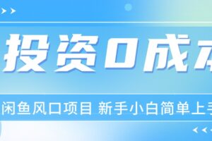 （11614期）最新风口项目闲鱼空调3.0玩法，月入过万，真正的0成本0投资项目