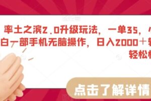 率土之滨2.0升级玩法，一单35，小白一部手机无脑操作，日入2000＋轻轻松松【揭秘】