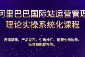 阿里巴巴国际站运营管理理论实操系统化课程：基建、发布、推广、协作、技能提升等