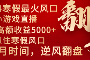 （8766期）2024年最火寒假风口项目 小游戏直播 单场收益5000+抓住风口 一个月直接提车