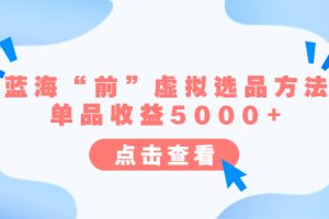 （6500期）某公众号付费文章《蓝海“前”虚拟选品方法：单品收益5000+》