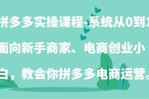 拼多多实操课程-系统从0到1，面向新手商家、电商创业小白，教会你拼多多电商运营。