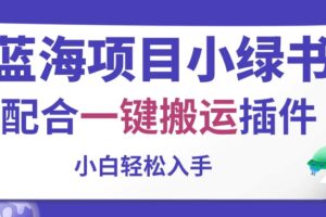 （10841期）蓝海项目小绿书，配合一键搬运插件，小白轻松入手