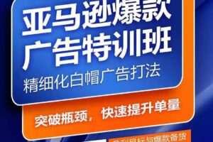 亚马逊爆款广告特训班，快速掌握亚马逊关键词库搭建方法，有效优化广告数据并提升旺季销量