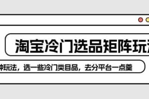 （10159期）淘宝冷门选品矩阵玩法：换种玩法，选一些冷门类目品，去分平台一点羹