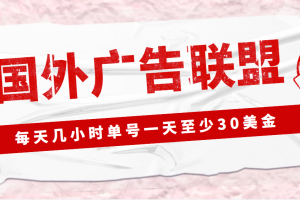 （4662期）外面收费1980最新国外LEAD广告联盟搬砖项目，单号一天至少30美金(详细教程)