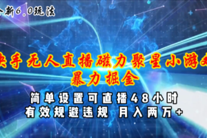 （11225期）全新6.0快手无人直播，磁力聚星小游戏暴力项目，简单设置，直播48小时…