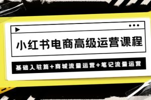 （4638期）小红书电商高级运营课程：基础入驻篇+商城流量运营+笔记流量运营