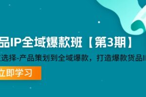 货品IP全域爆款班【第3期】赛道选择、产品策划到全域爆款，打造爆款货品IP