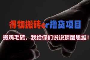 得物搬砖撸货项目?掰下数据，我给你们说说顶层思维【揭秘】