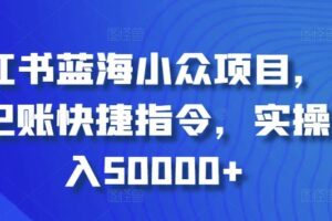 小红书蓝海小众项目，自动记账快捷指令，实操月入50000+【揭秘】