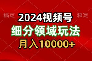 2024视频号分成计划细分领域玩法，每天5分钟，月入1W+