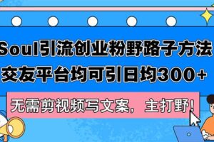 （12281期）Soul引流创业粉野路子方法，交友平台均可引日均300+，无需剪视频写文案…