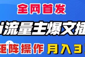 （8328期）AI流量主爆文插件，只需一款插件全自动输出爆文，矩阵操作，月入3W＋