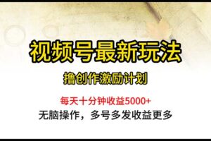 （10591期）视频号最新玩法，每日一小时月入5000+