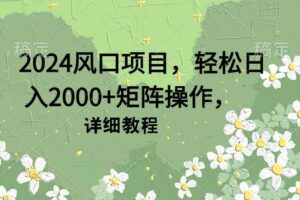 （9652期）2024风口项目，轻松日入2000+矩阵操作，详细教程