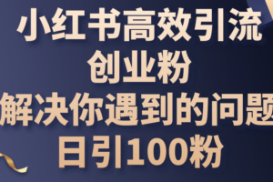 （10929期）小红书高效引流创业粉，解决你遇到的问题，日引100粉