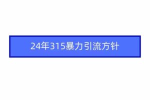 （9398期）2024年315暴力引流方针