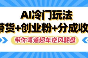 AI冷门玩法，带货+创业粉+分成收益，带你弯道超车，实现逆风翻盘【揭秘】