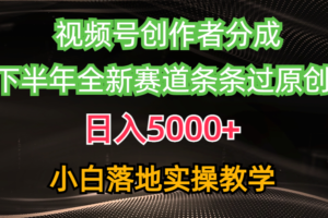 （10294期）视频号创作者分成最新玩法，日入5000+  下半年全新赛道条条过原创，小…