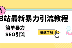 （5579期）b站最新引流方法，暴力SEO引流玩法，一天可以量产几百个视频（附带软件）
