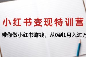 （4377期）小红书变现特训营：带你做小红书赚钱，从0到1月入过万