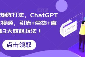 视频号矩阵打法，ChatGPT批量做视频，引流+带货+直播3大核心玩法！