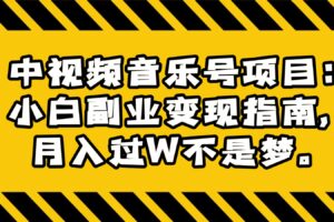 中视频音乐号项目：小白副业变现指南，月入过W不是梦。