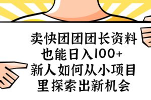 （5535期）卖快团团团长资料也能日入100+ 新人如何从小项目里探索出新机会