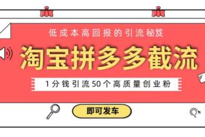 （8787期）淘宝拼多多电商平台截流创业粉 只需要花上1分钱，长尾流量至少给你引流50粉