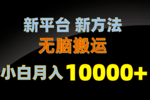 （10605期）新平台新方法，无脑搬运，月赚10000+，小白轻松上手不动脑