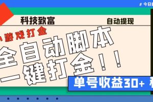 （6930期）最新田园小游戏协议全自动打金项目，单号收益30+【协议脚本+使用教程】