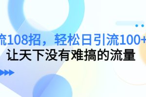 （4533期）引流108招，轻松日引流100+人，让天下没有难搞的流量