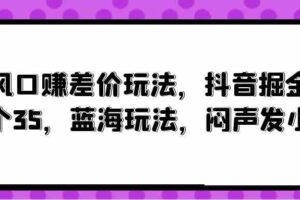 （10022期）风口赚差价玩法，抖音掘金，一个35，蓝海玩法，闷声发小财