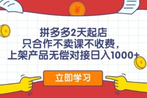 （12356期）拼多多0成本开店，只合作不卖课不收费，0成本尝试，日赚千元+