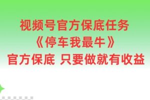 视频号官方保底任务，停车我最牛，官方保底只要做就有收益【揭秘】