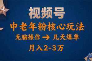 （11288期）视频号火爆玩法，高端中老年粉核心打法，无脑操作，一天十分钟，月入两万