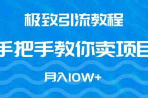 （9265期）极致引流教程，手把手教你卖项目，月入10W+