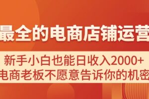 （11266期）电商店铺运营教学，新手小白也能日收入2000+，电商老板不愿意告诉你的机密