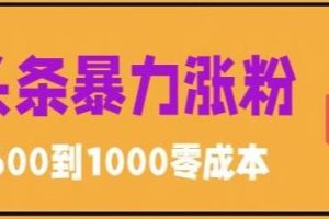 （5950期）微头条暴力涨粉技巧搬运文案就能涨几万粉丝，简单0成本，日赚600